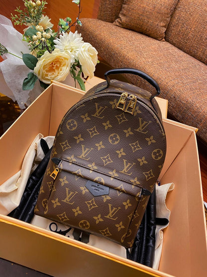 Louis vuitton backpack medium