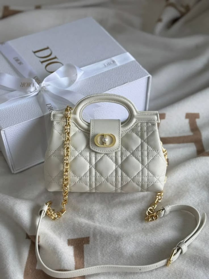 Dior bag