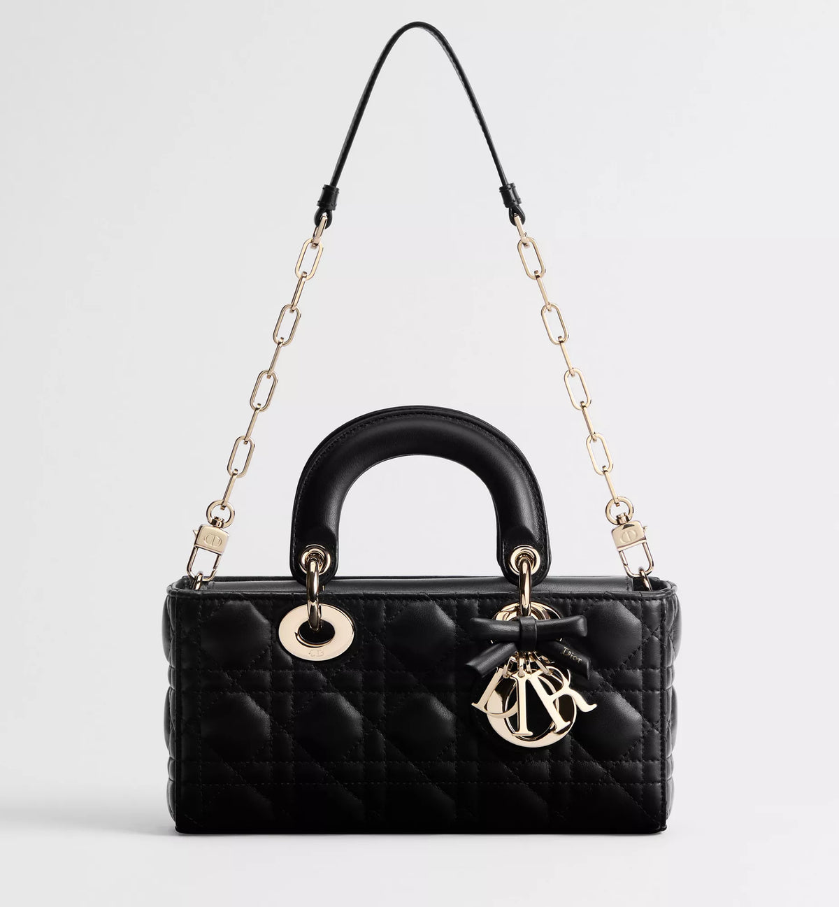 Lady D Dior 2027