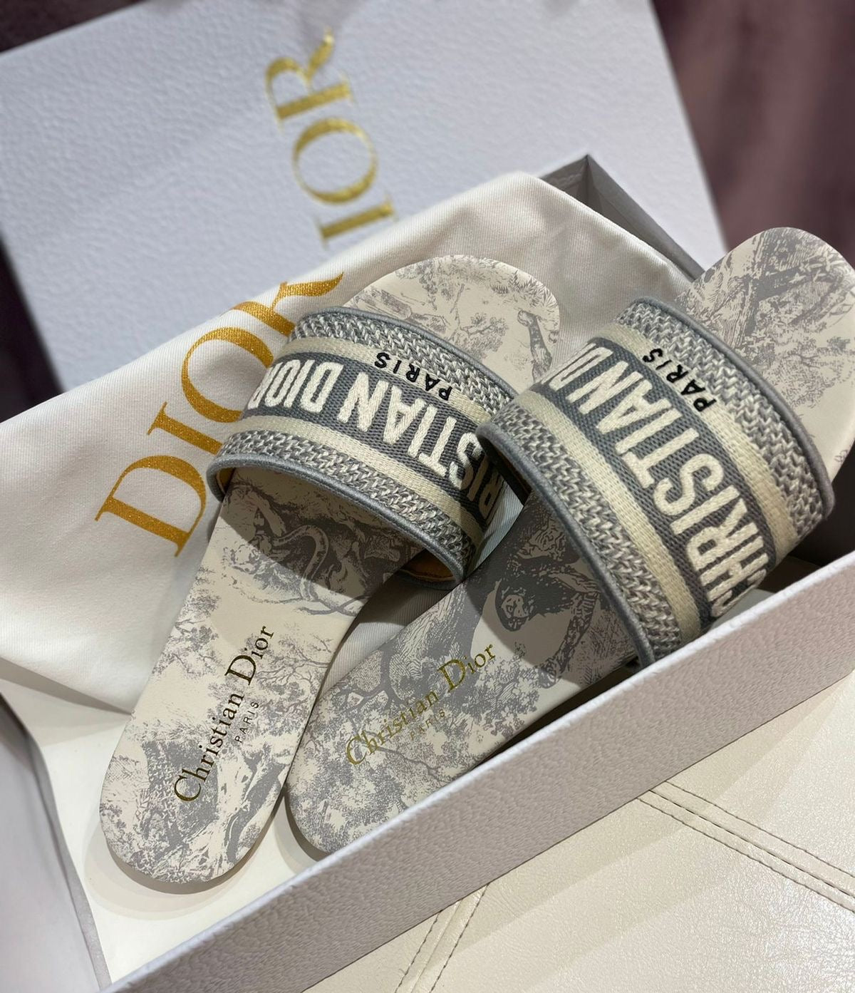 Dior slipper