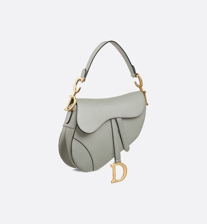 Dior saddle