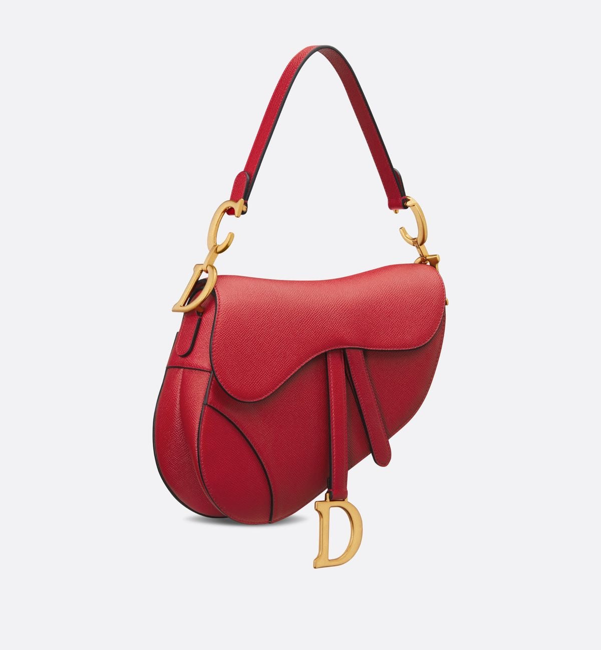 Dior saddle