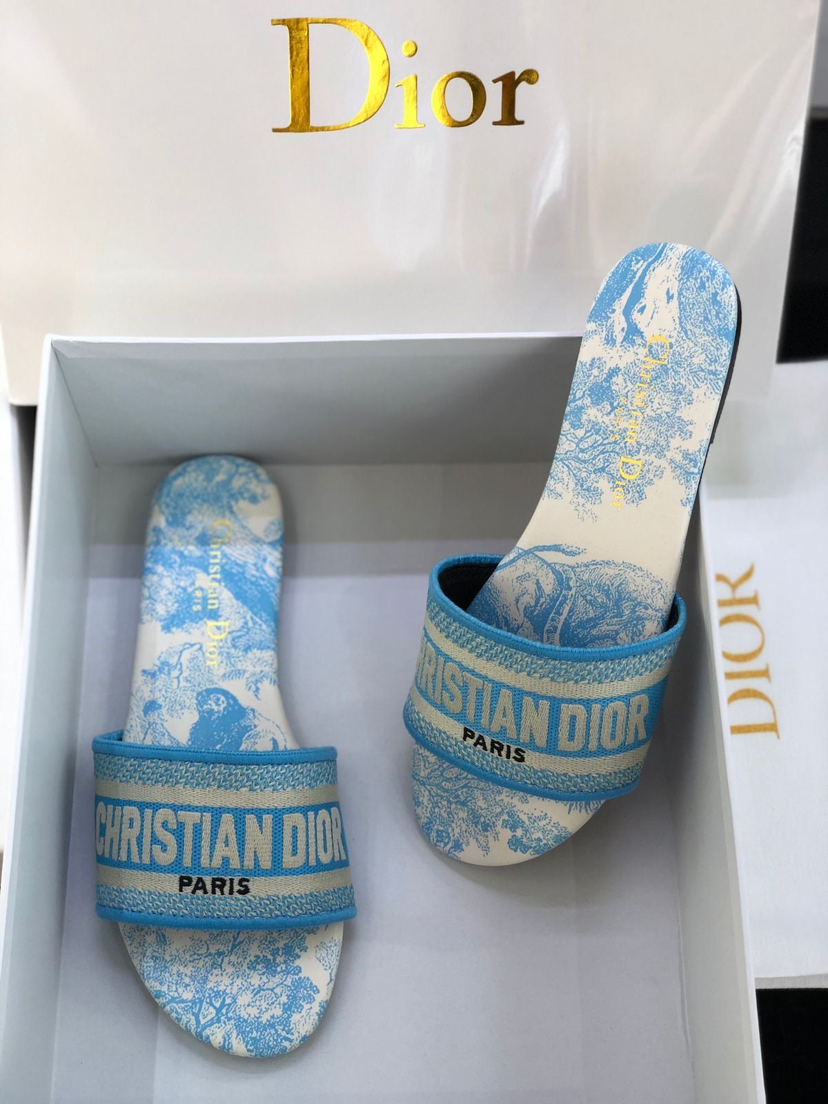 DIOR SLIPPER