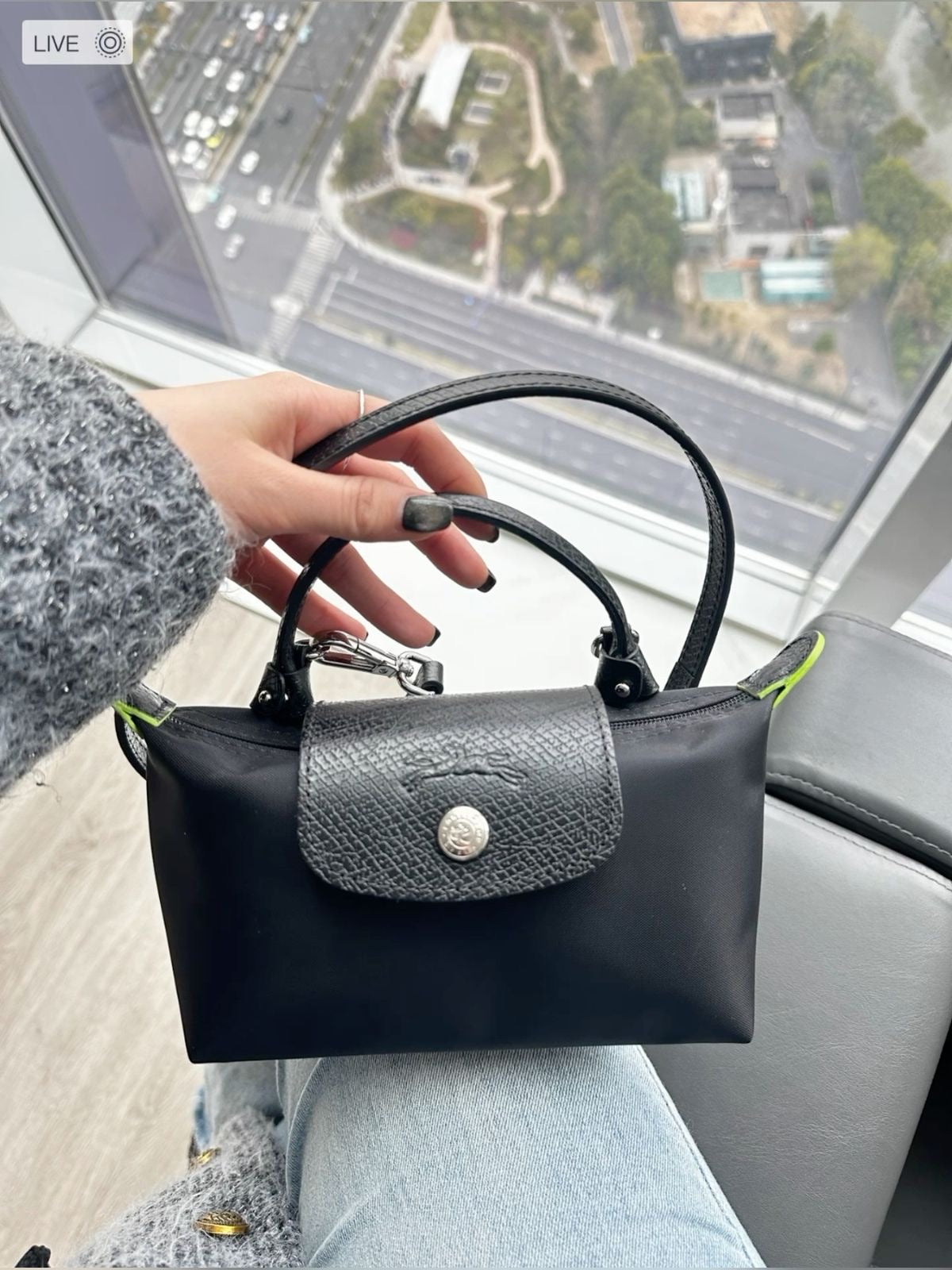 Mini longchamp