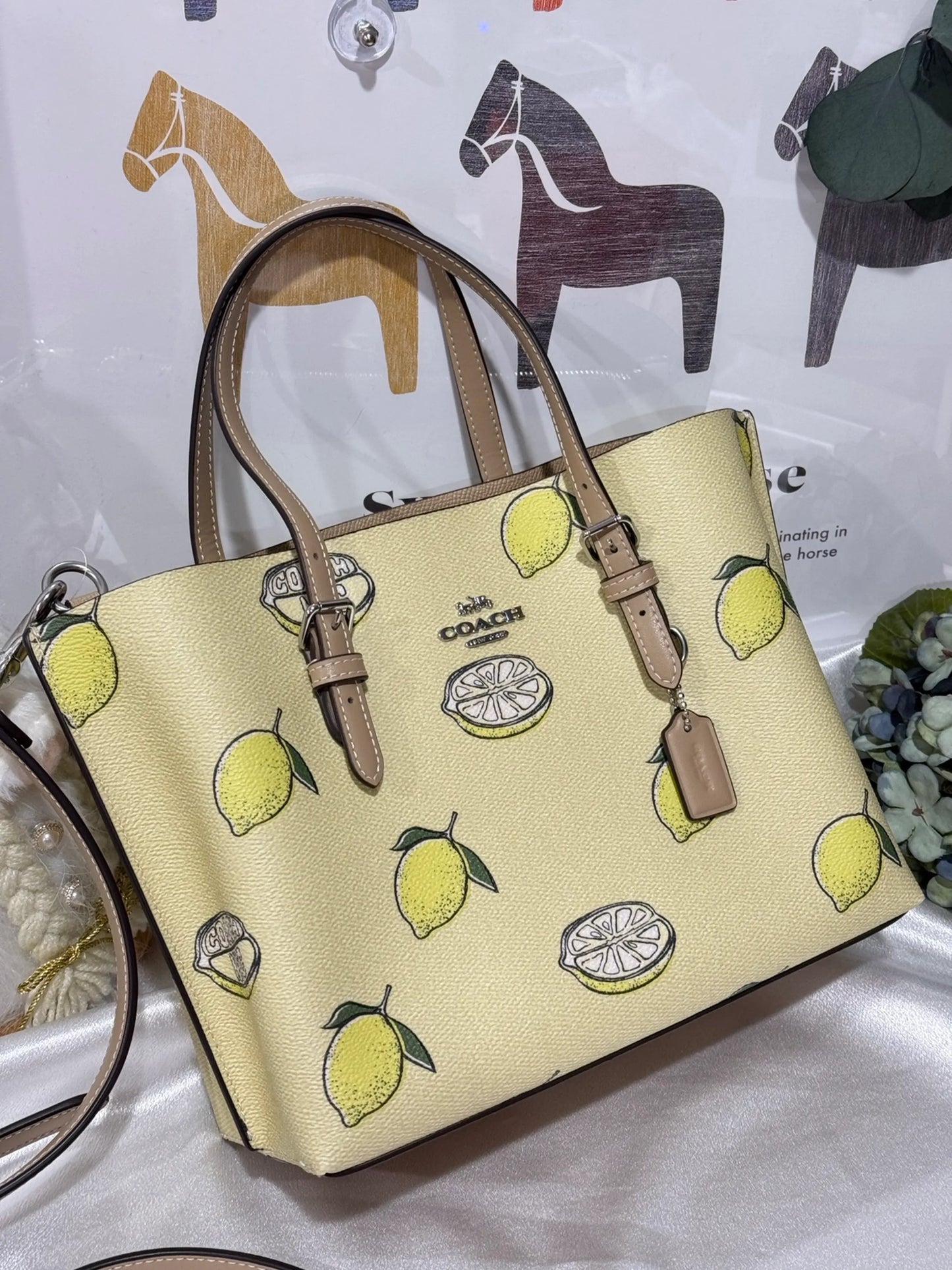 Coach bag medium