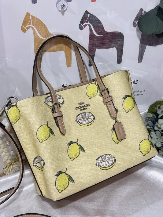 Coach bag medium