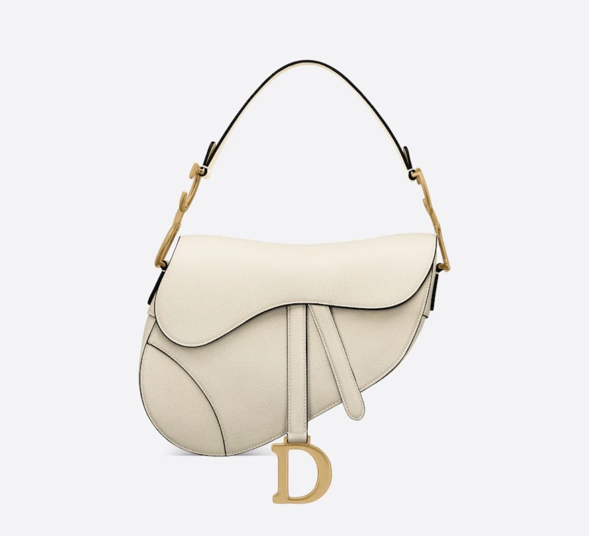 Dior saddle