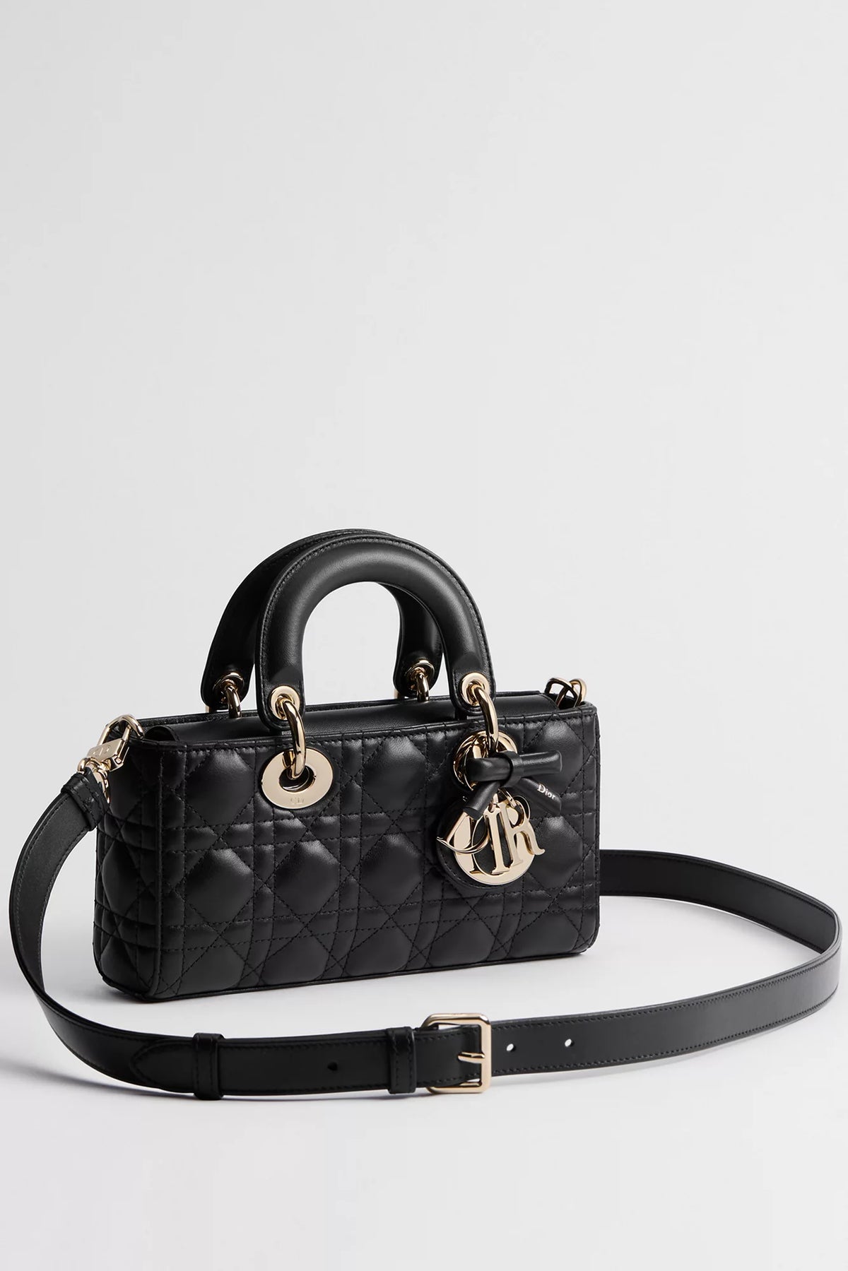 Lady D Dior 2027