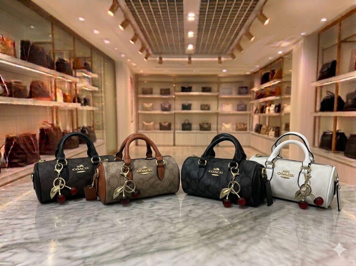 Coach mini speedy