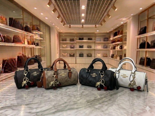 Coach mini speedy
