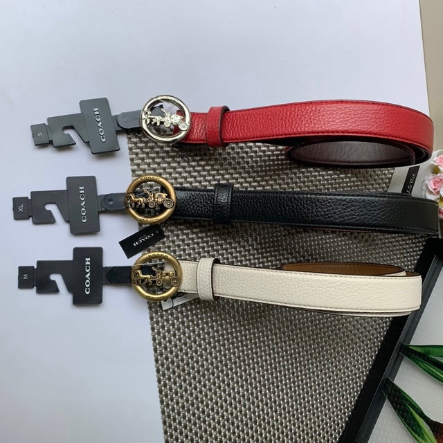 Coach belt