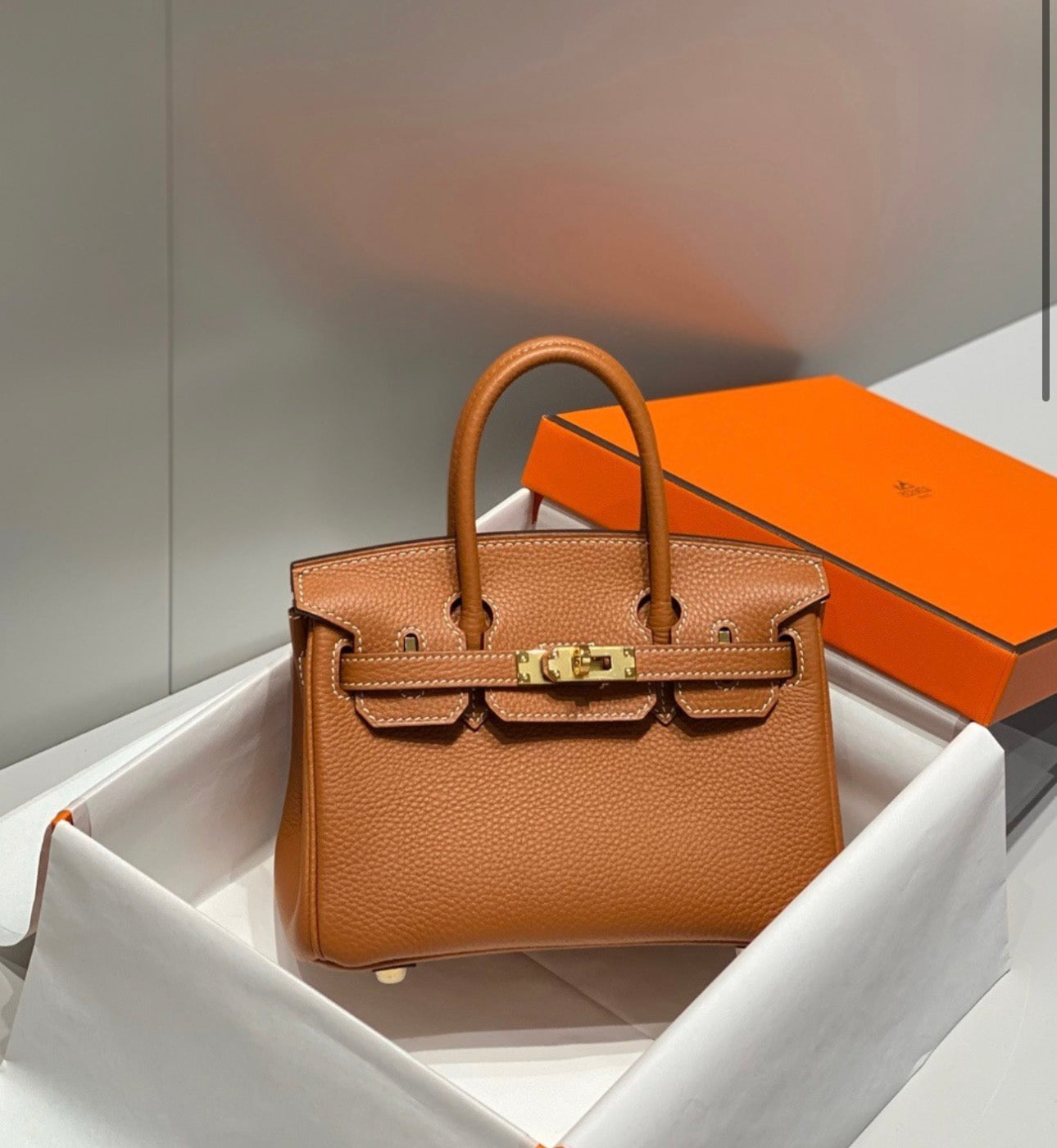 MINI SIZE BIRKIN 20 cm