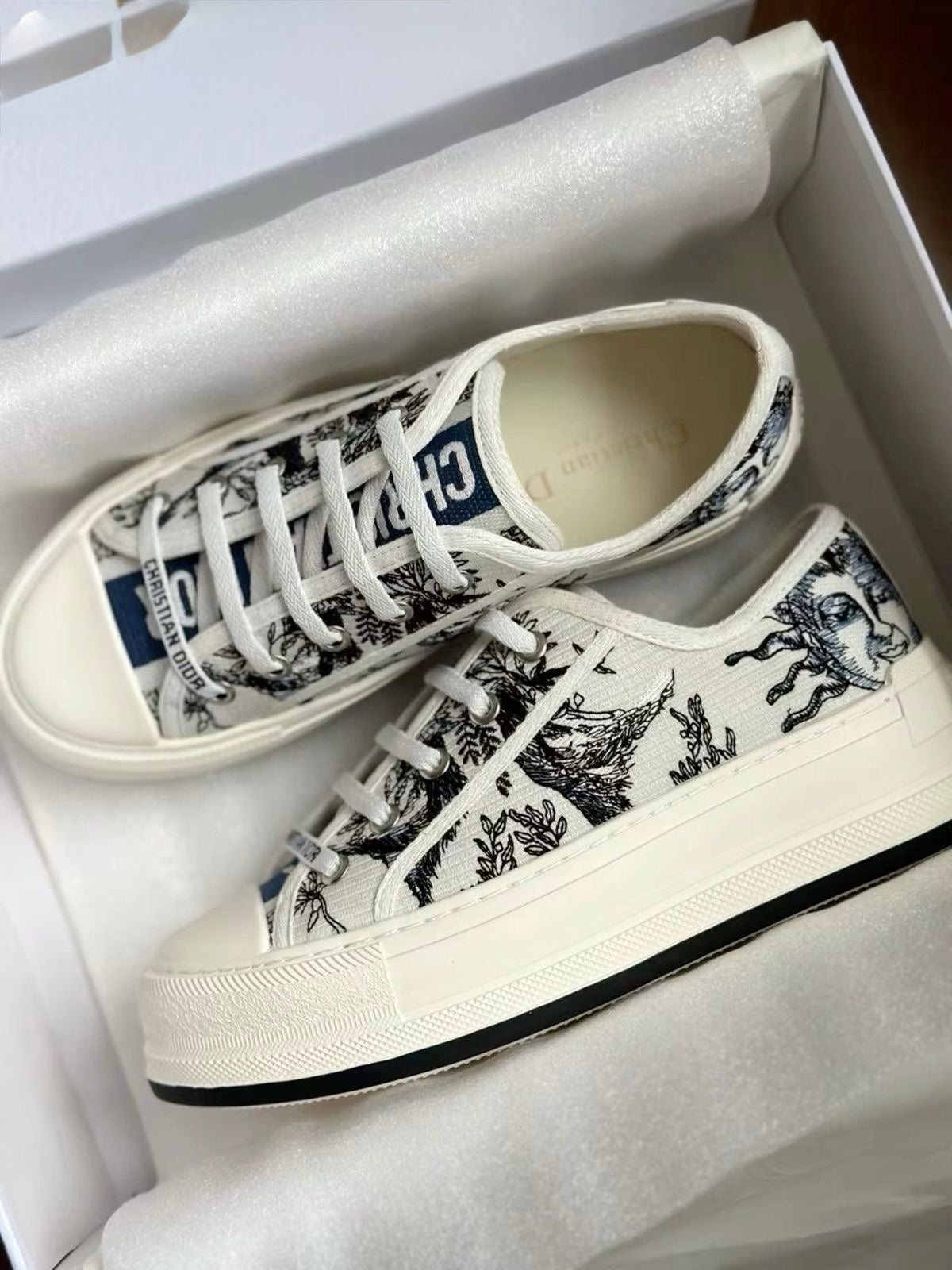 Dior shoes