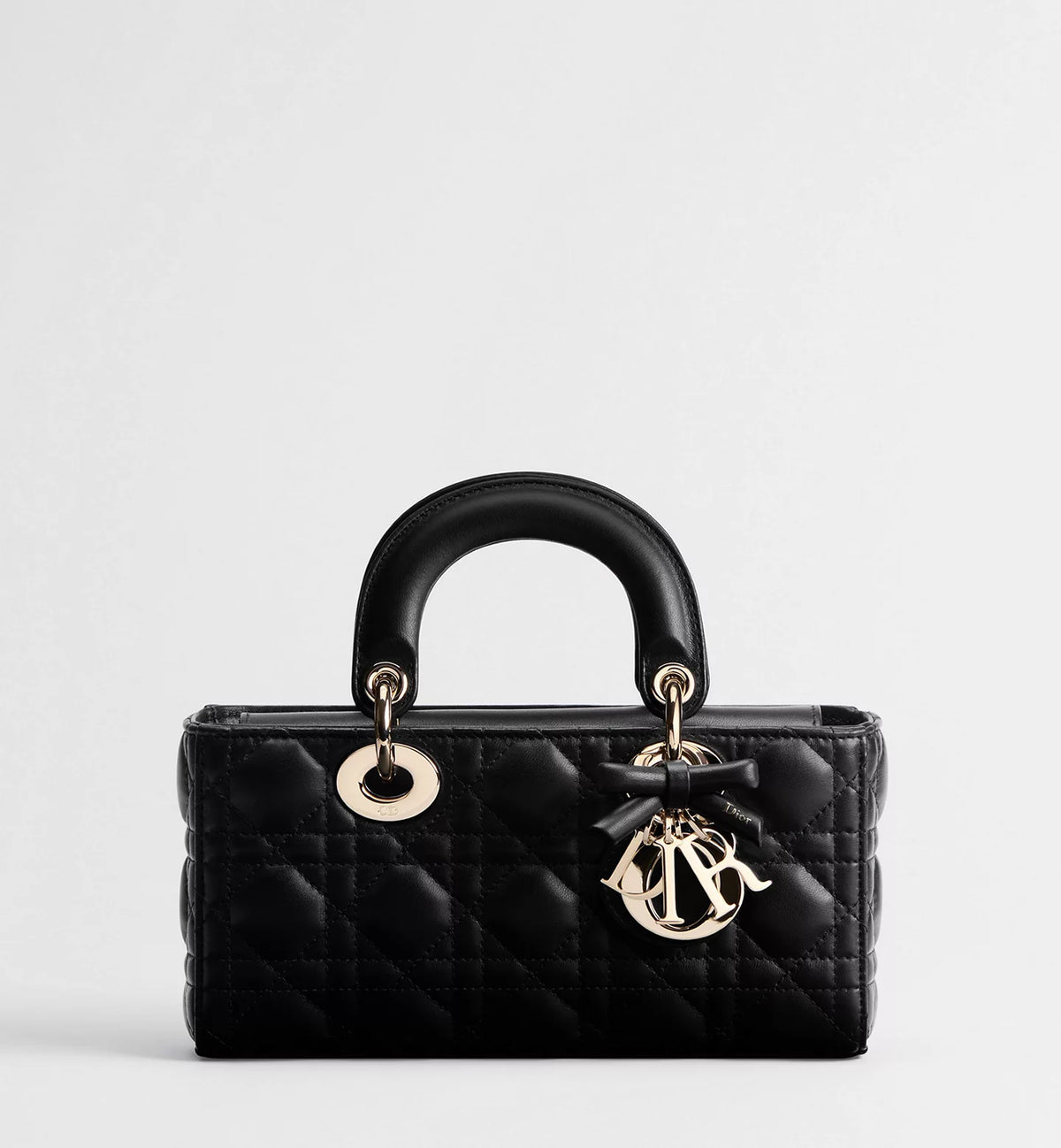 Lady D Dior 2027