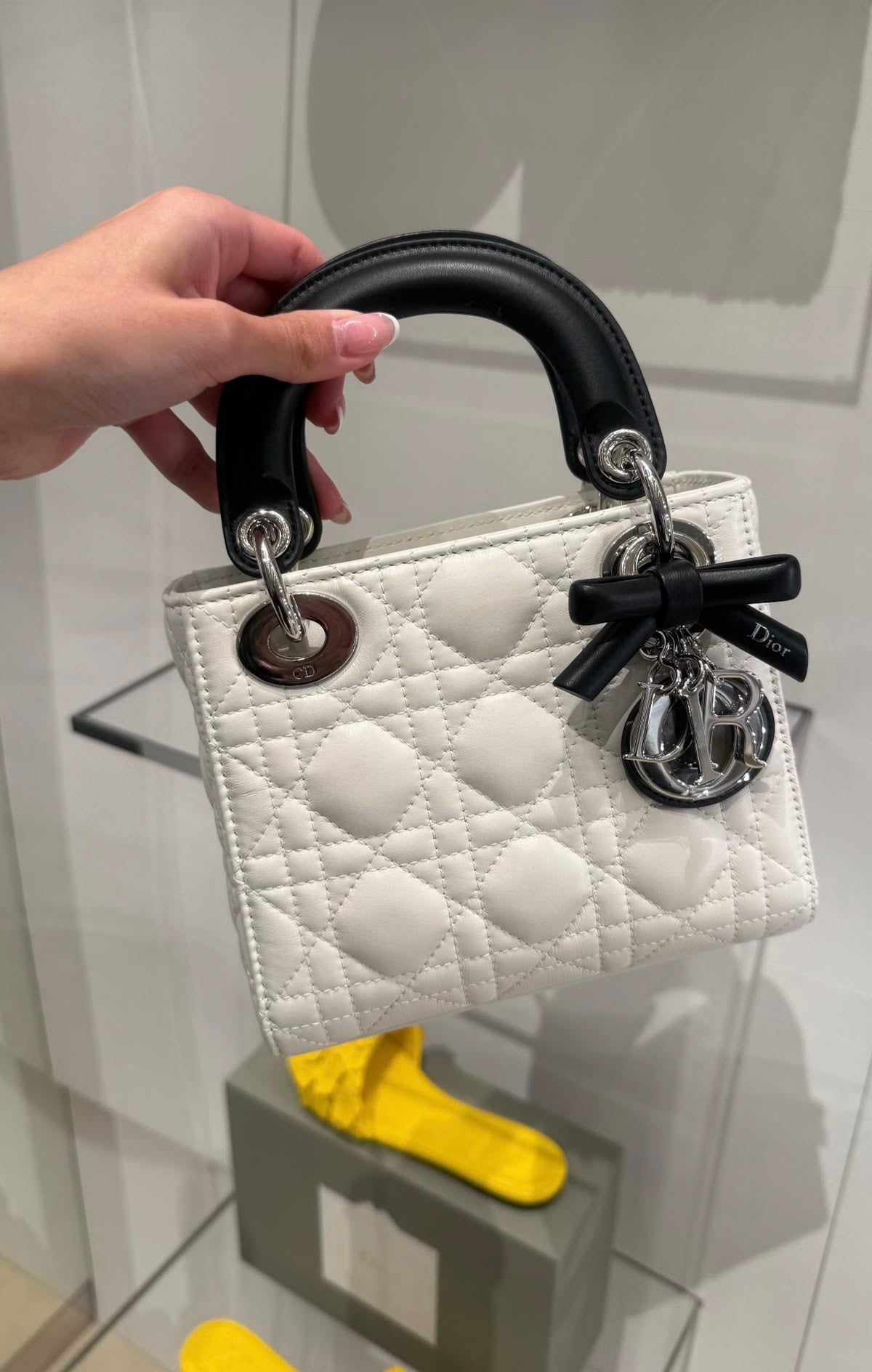 Lady Dior 2027