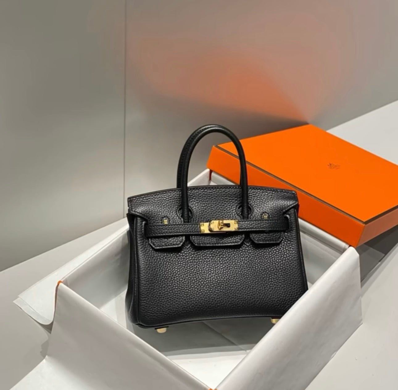 Mini birkin