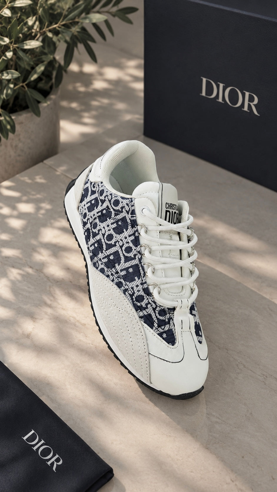 Dior shoes